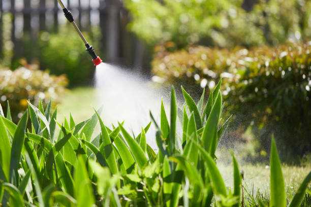 24/7 Emergency Fumigation Services experts in Holland, MI