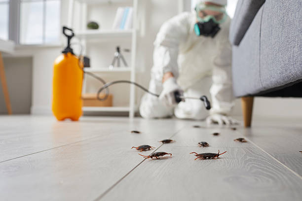 Trusted Termite Control service in Holland, MI - Nex Pest Control